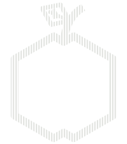 Product Icon Image