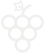 Product Icon Image