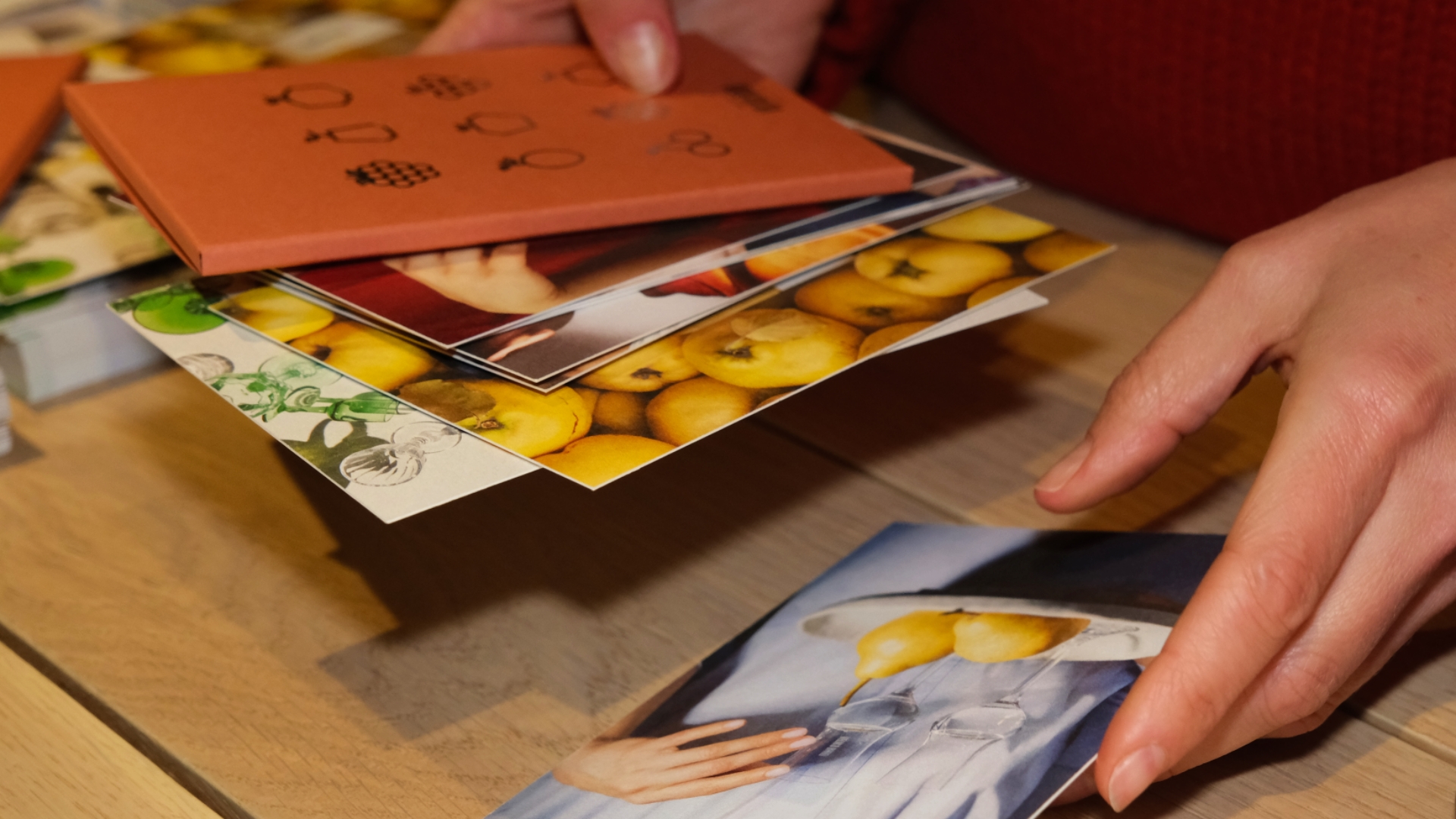 NAŠ NOVI KATALOG: IZLOŽBA U VAŠIM RUKAMA