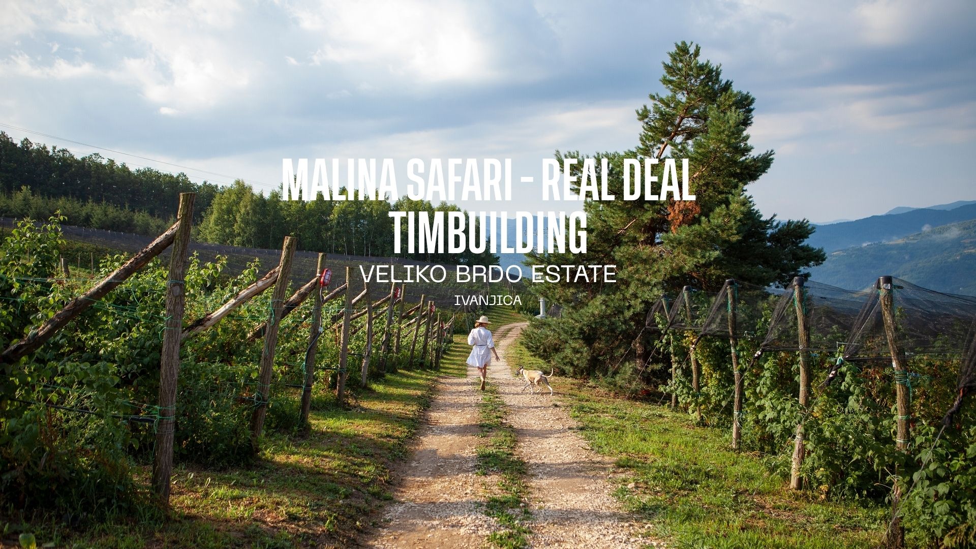 MALINA SAFARI – REAL DEAL: TIMBILDING NA VELIKOM BRDU